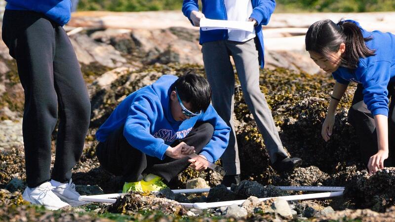 Middle Grade 7 Science Project Cattle Point