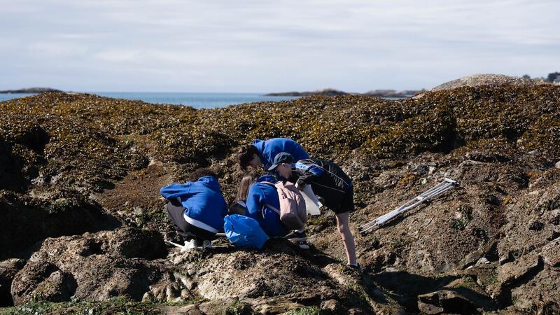 Middle Grade 7 Science Project Cattle Point