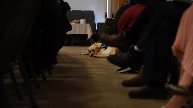 Radar rests quietly amidst a conference in the Chapel
