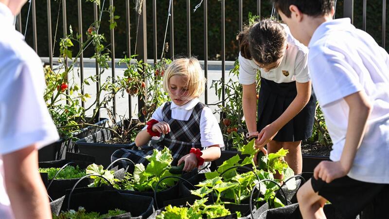 Junior School Gardening Club