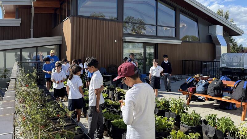 SMUS Junior School Rooftop Garden