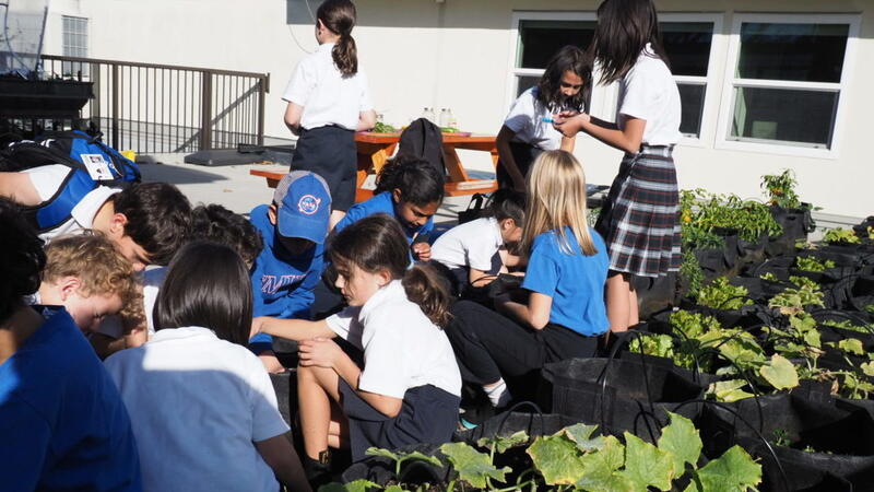 Junior School Gardening Club