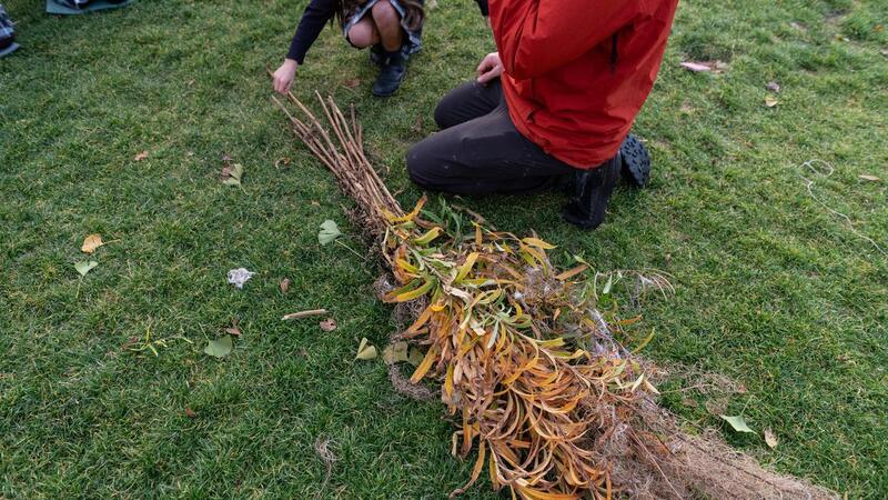 Junior School Survival Skills Club