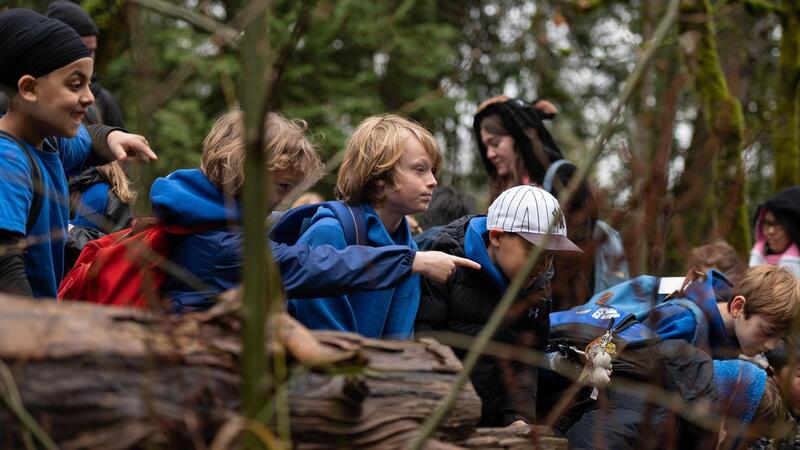 Grade 3 Students visit Goldstream Park for the salmon run
