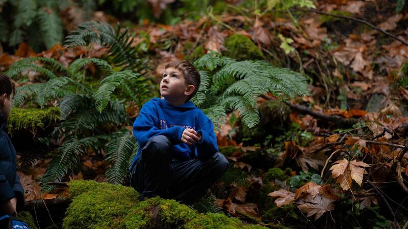 Grade 3 Students visit Goldstream Park for the salmon run