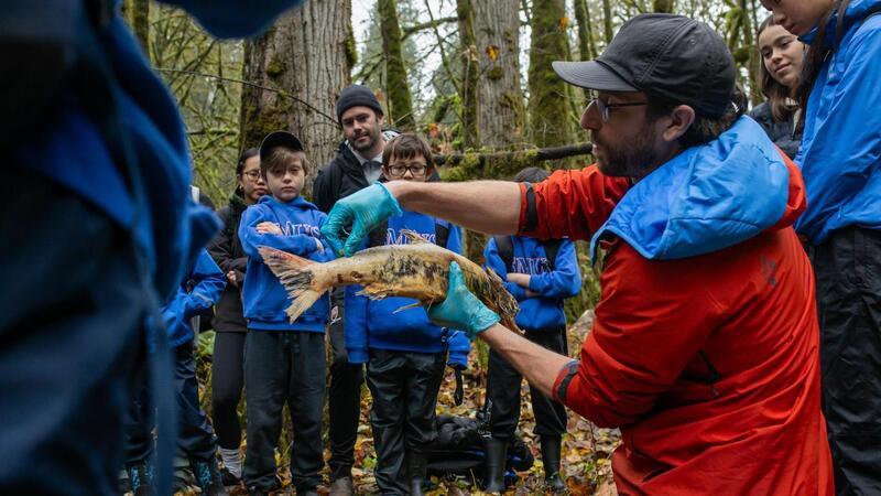 Grade 3 Students visit Goldstream Park for the salmon run