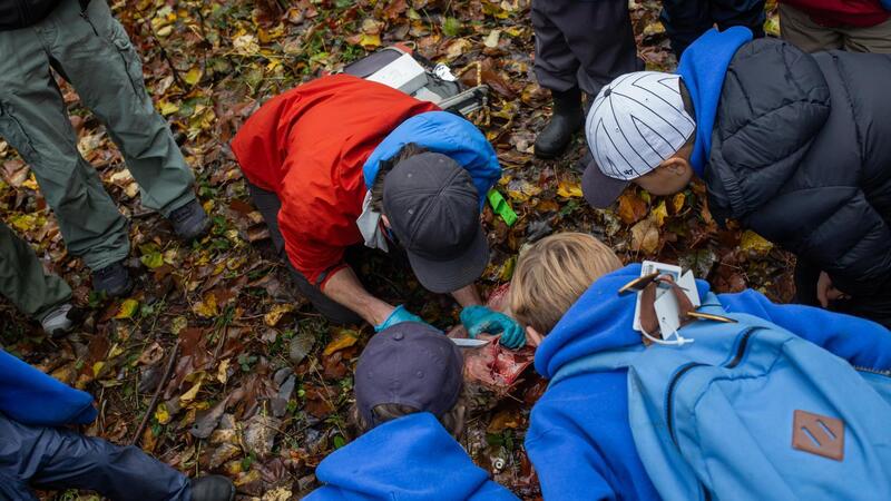 Grade 3 Students visit Goldstream Park for the salmon run