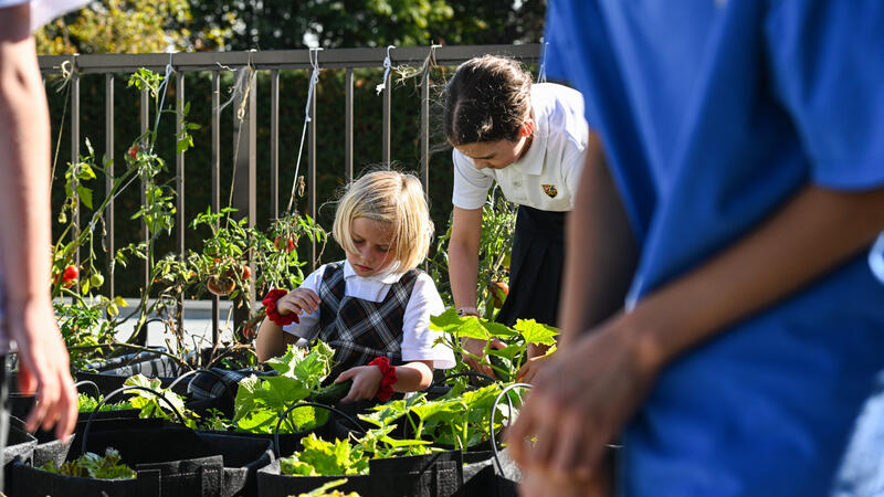 Junior - Rooftop Garden