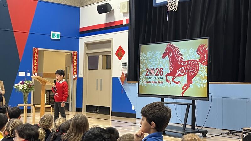 Lunar New Year Celebrations