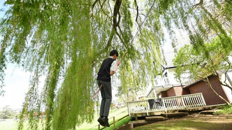 Willow Tree swing Wenman Pavilion