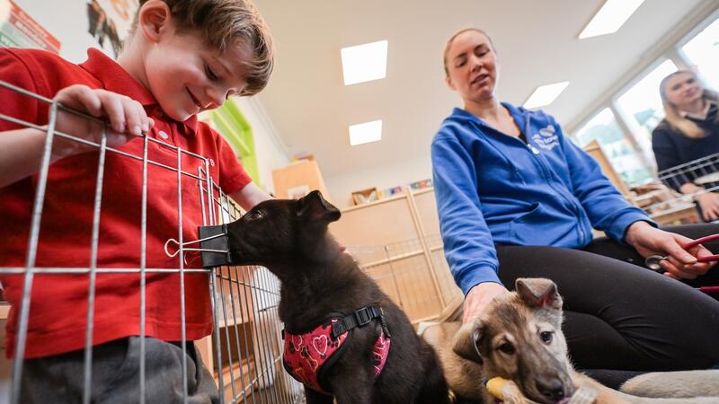 Kindergarten Students - Junior School