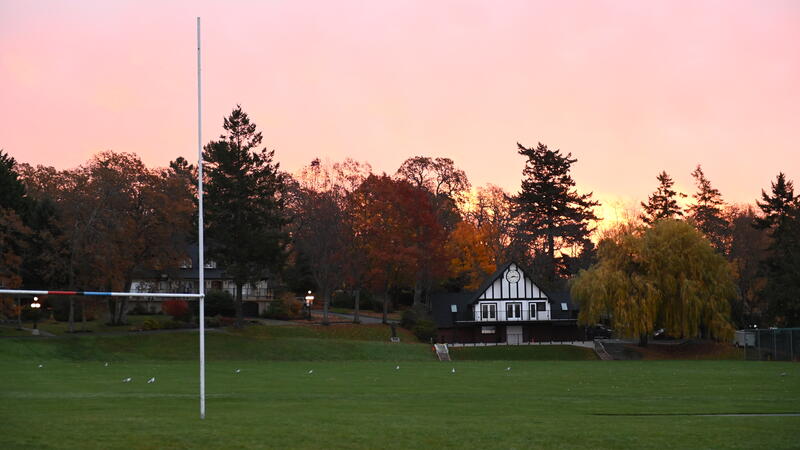 Willow Tree Wenman Pavilion