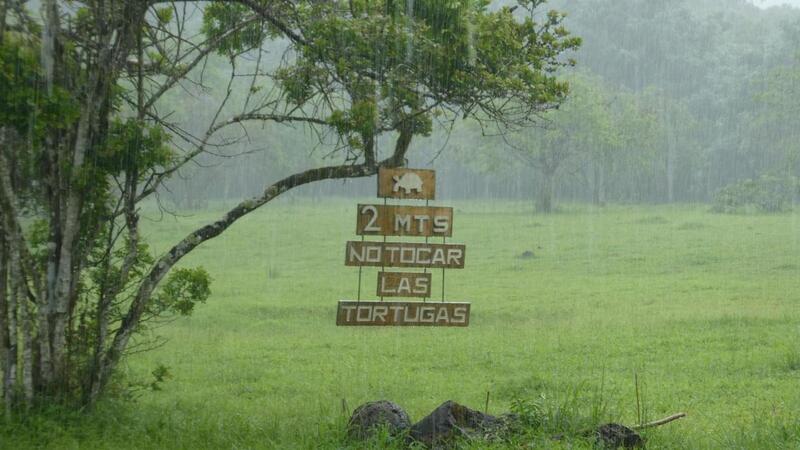 SMUS students on a Spring Break trip in the Galapagos Islands