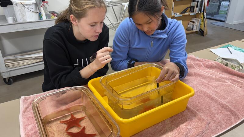 Senior Environmental Science Marine Biology Trip to Bamfield