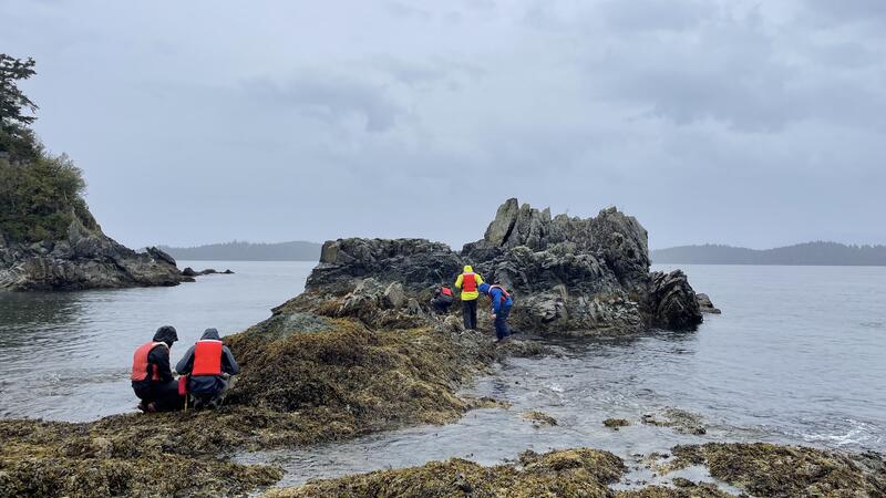 Senior Environmental Science Marine Biology Trip to Bamfield