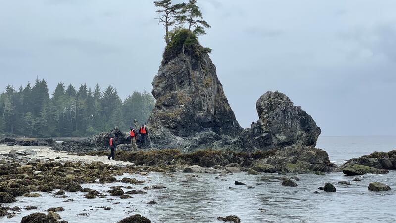 Senior Environmental Science Marine Biology Trip to Bamfield