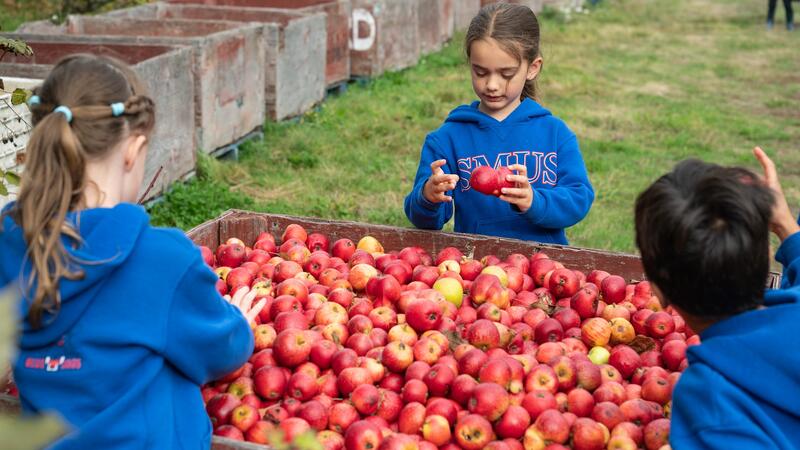Students gather around a large crate of apples holding up a few to examine more closely. 