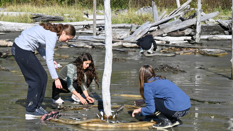 Senior Experiential 10 Program Ridgelines and Coastlines